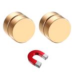 Fako Bijoux® - Oorbellen - Magneet - Magnetisch - RVS - 8mm, Handtassen en Accessoires, Verzenden, Nieuw