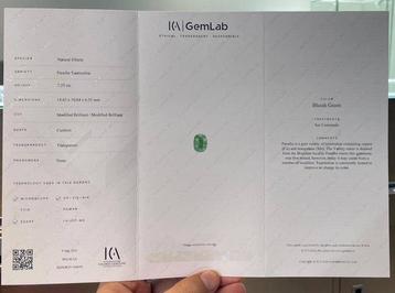 1 pcs Bleu, Vert Tourmaline Paraiba - 7.37 ct - beschikbaar voor biedingen