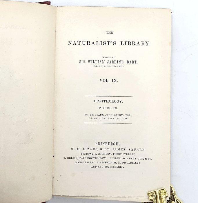 The Naturalist’s Library - Ornithology. Pigeons - 1850, Antiquités & Art, Antiquités | Livres & Manuscrits