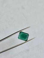 Groen Smaragd - 6.54 ct - Lotus Gemology - MINOR OLIE - Rijk, Nieuw
