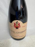 1998 Domaine Ponsot - Griotte-Chambertin Grand Cru - 1 Fles, Verzamelen, Nieuw
