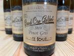 2019 Domaine Maurice Schueller Goldert Pinot Gris - Elzas, Verzamelen, Nieuw