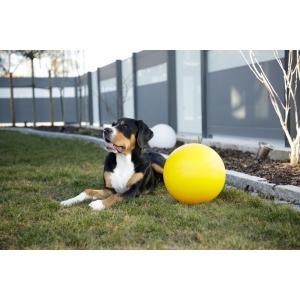 Balle pour chien Ø 30 cm, Animaux & Accessoires, Accessoires pour chiens