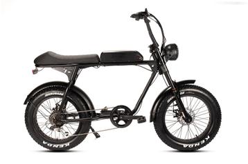 Avon A73 Elektrische Fatbike  - 250w Vermogen  Gratis beschikbaar voor biedingen