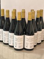 2020 Vizuecos, Excellence - Castellón, Valencia - 12 Flessen, Nieuw