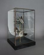 Scarabée Support de corps entier pour taxidermie - Goliathus