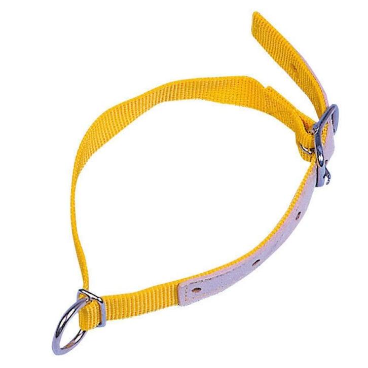 Halsband voor schapen, nylon 60cm geel - kerbl, Dieren en Toebehoren, Stalling en Weidegang