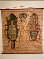 Paul Pfurtscheller - Martinus Nijhoff - Schoolplaat, Antiek en Kunst