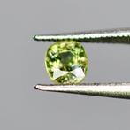 Zonder Minimumprijs Saffier  - 1.03 ct - International, Handtassen en Accessoires, Edelstenen, Nieuw