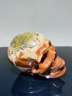 Jasper Super Realistische Skulder - met prachtige