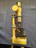 Microscope - 1900-1910