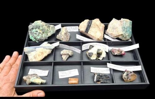 Collection de minéraux dans son plateau de présentation pour, Verzamelen, Mineralen en Fossielen