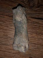 Nijlpaard - Fossiel bot - Hippopotamus lemerlei