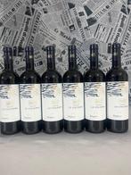 2023 Tenuta le Colonne - Bolgheri - 6 Bouteilles (0,75 L)