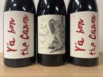 Anne et Jean-François Ganevat, Ya bon the Canon (2x) 2014 &, Nieuw