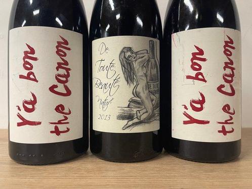 Anne et Jean-François Ganevat, Ya bon the Canon (2x) 2014 &, Verzamelen, Wijnen