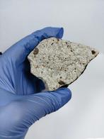 NWA L6 S2 W2 met fusiekorst Chondrite meteoriet - 216 g