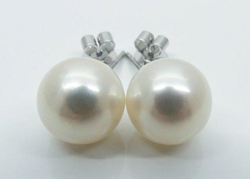 Oorstekers - 14 karaat Witgoud Parel - Zuidzee, Rond 10-11, Handtassen en Accessoires, Antieke sieraden
