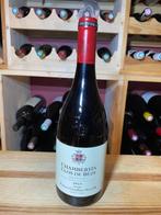 2019 Domaine Robert Groffier Père & Fils - Chambertin-Clos, Nieuw