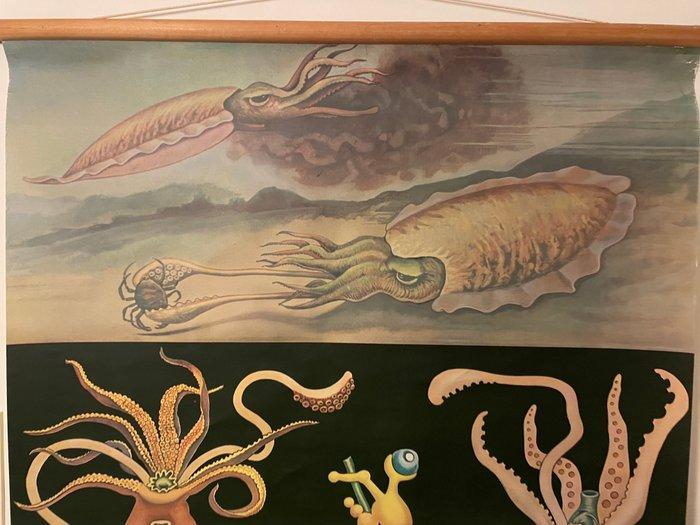 Jung-Koch-Quentell - Lehrmittelverlag Hagemann - Schoolplaat, Antiek en Kunst, Kunst | Tekeningen en Fotografie