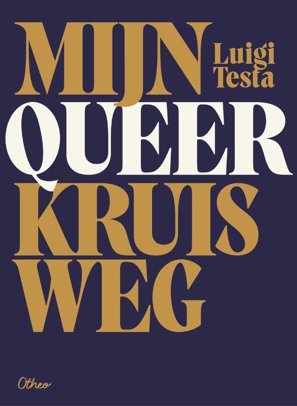 Mijn queer kruisweg 9789085287841 Luigi Testa, Boeken, Politiek en Maatschappij, Zo goed als nieuw, Verzenden