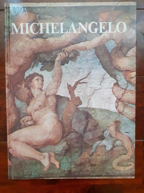 Michelangelo 9789062200177 Hans Hoekstra, Boeken, Overige Boeken, Zo goed als nieuw, Verzenden