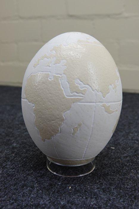 carved Ostrich Egg decorated with world map Ei - Struthio, Verzamelen, Dierenverzamelingen