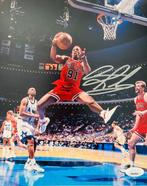 Chicago Bulls - NBA - Dennis Rodman Photograph
