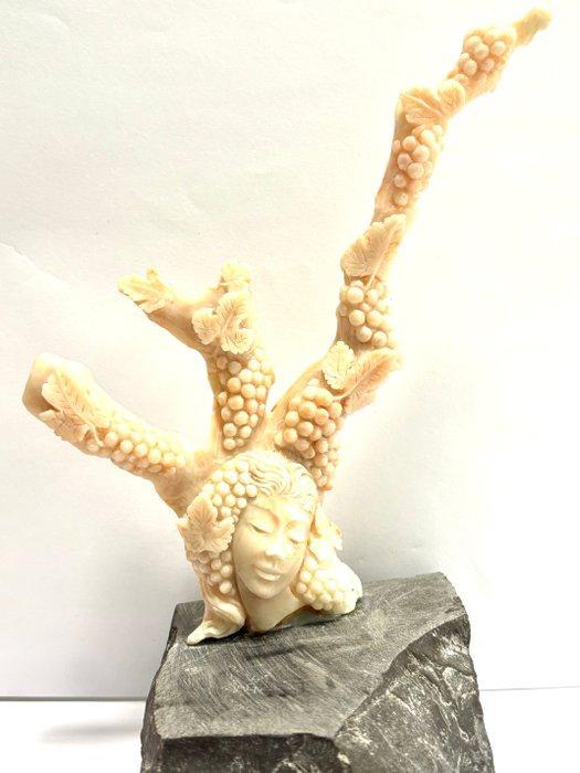 Koraal Koraal - Coral rubrum, Antiquités & Art, Curiosités & Brocante