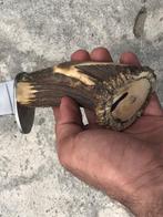 Couteau de cuisine - Stage Horn, couteau Skinner artisanal
