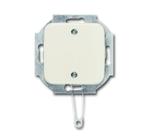 ABB Busch-Jaeger SI Installatie Schakelaar - 2CKA001315A0423, Doe-het-zelf en Bouw, Verzenden, Nieuw
