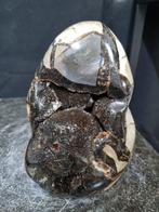 Beautiful formed large sculpture - Septaria - Septarie -