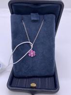 Harry Winston - Collier Platine Saphir - Diamant, Nieuw