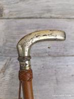 Wandelstok - Zilver, Leder