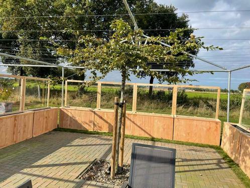 Douglas bloembak met plexiglas, Tuin en Terras, Bloembakken en Plantenbakken, Nieuw, Balkon, Tuin