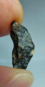 Meteorite. CVoxA3. Carbonaceous (NWA 17324). - 2.51 g - (1)