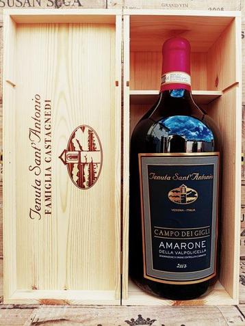 2017 Tenuta SantAntonio Campo dei Gigli - Amarone della, Collections