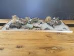 Tamiya - Véhicule-jouet Duitse Afrika corps in de woestijn -, Nieuw
