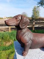 Beeld, zwaar en stoer beeld van een teckel - 24 cm - cast