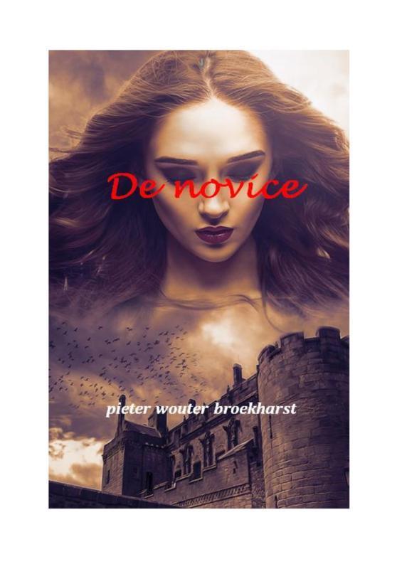 De Novice 9789492719256 Pieter Wouter Broekharst, Livres, Romans, Envoi
