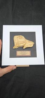 Curiosity cabinet - Bison licking itself La Madeleine