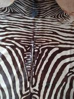 Zebra Taxidermie volledige montage - Piel de zebra - 160 cm, Nieuw