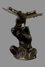 Showa - Japanese Hawk on cliff with waves - 5KG andn 40cm -