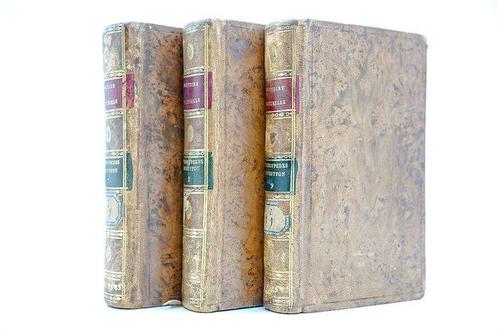 Buffon - Histoire Naturelle des Quadrupèdes - 1799, Antiek en Kunst, Antiek | Boeken en Manuscripten