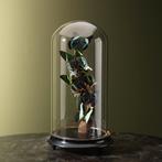 Vlinders in Stolp Taxidermie Opgezette Dieren By Max, Verzamelen, Ophalen of Verzenden, Nieuw, Insect, Opgezet dier