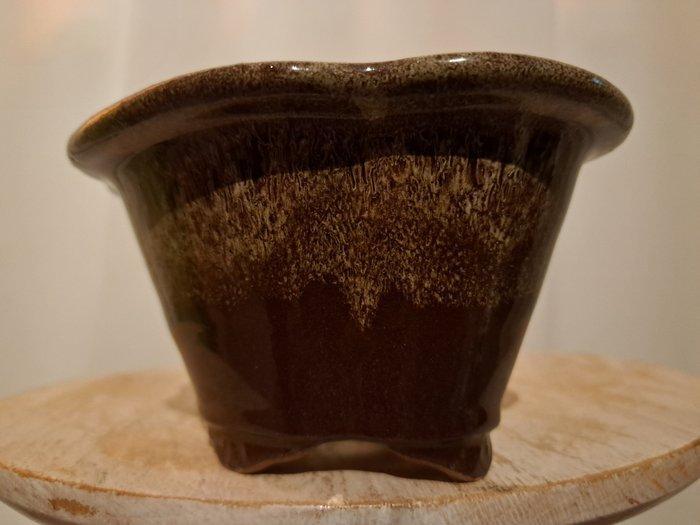 Bonsai schaal - 15,5 cm x 13 cm x 8 cm - bruin geglazuurd -, Antiquités & Art, Curiosités & Brocante