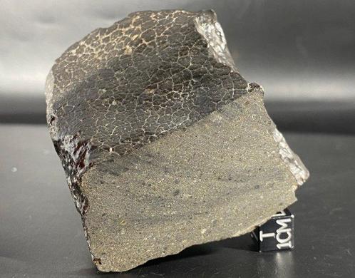 BELLISSIMA CARBONACEA (CK4) NWA 11707 - 371 g - (1), Verzamelen, Mineralen en Fossielen