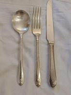 WM Roger & Son - Bestekset (49) - Verzilverd - Spectaculaire