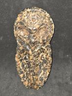 Taino-cultuur Kleine en Grote Antillen steen borsthanger /, Verzamelen