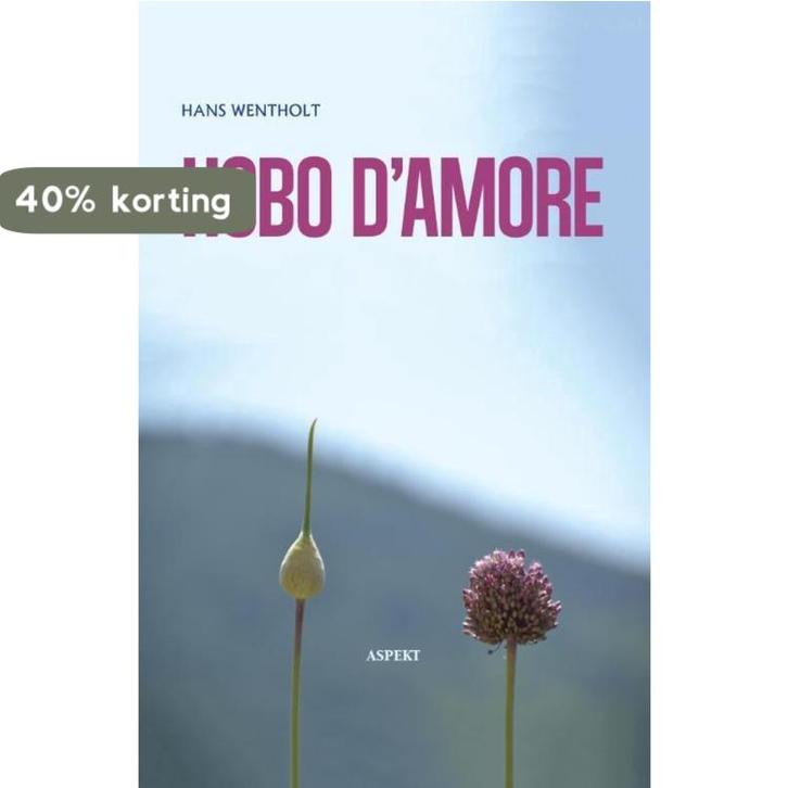 Hobo damore 9789461538383 Hans Wentholt, Livres, Littérature, Envoi